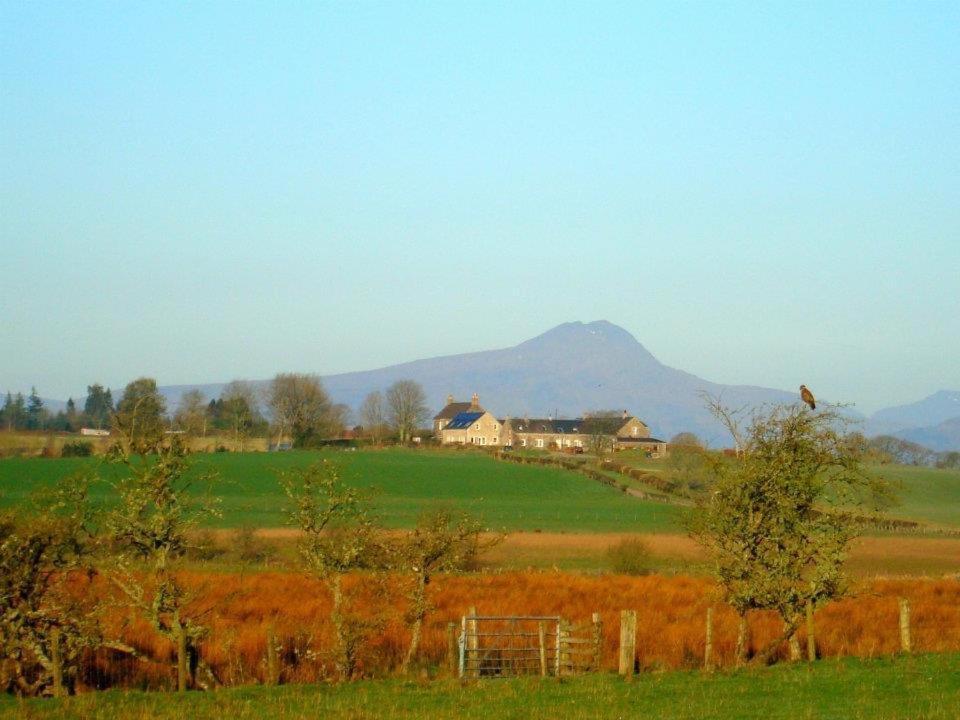 Trossachs Barn & Cabin - Boutique B&B Port Of Menteith Buitenkant foto