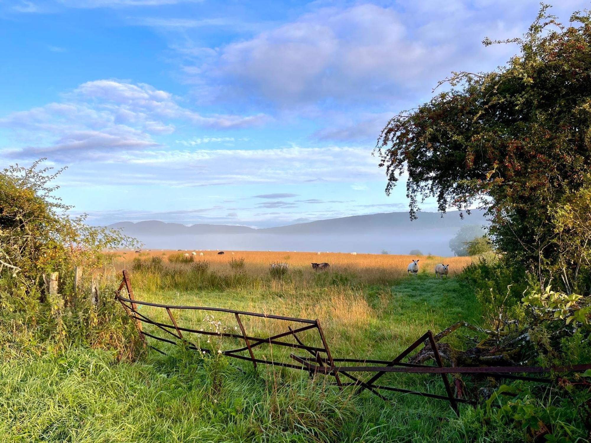 Trossachs Barn & Cabin - Boutique B&B Port Of Menteith Buitenkant foto