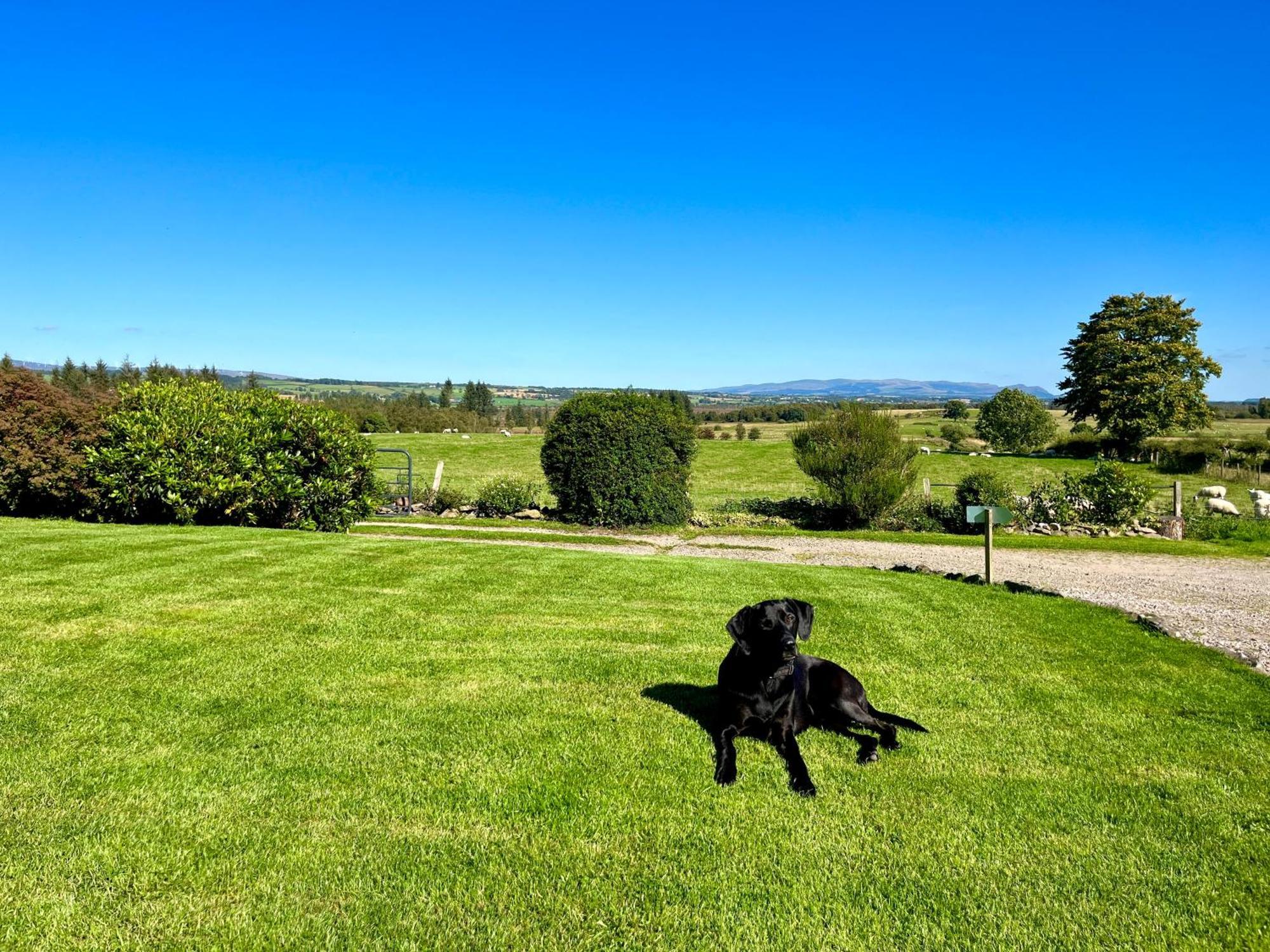 Trossachs Barn & Cabin - Boutique B&B Port Of Menteith Buitenkant foto